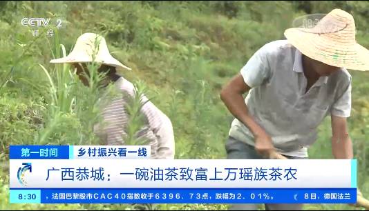 有关于一碗油茶致富上万瑶族茶农 茶叶产值达1.16亿元的热门资讯