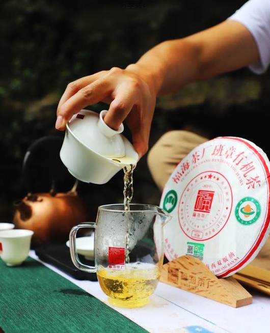 关于绿色云茶破千亿 云茶产业如何继续健康良性发展?的消息(5)