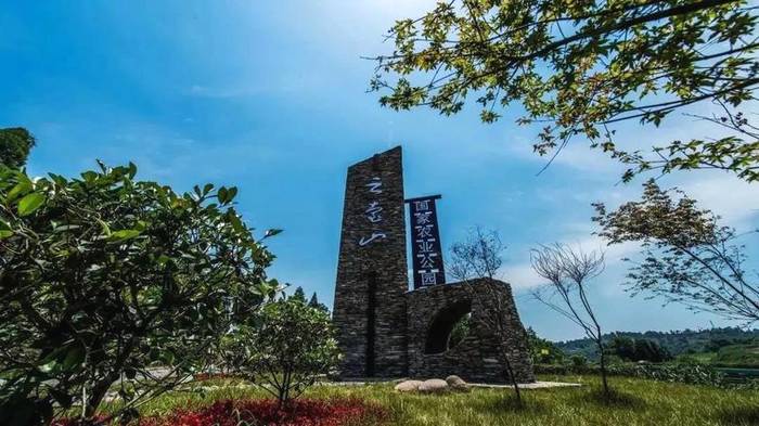 关于雅安：来！茶海冲浪 杯中有你 追逐春天的丝滑的最新消息(6)