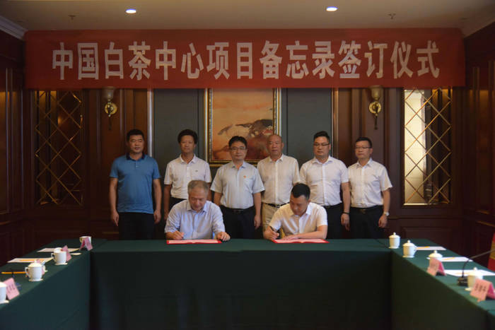 关于一样的路，不一样的风景——回首2020的福鼎白茶的信息(11)