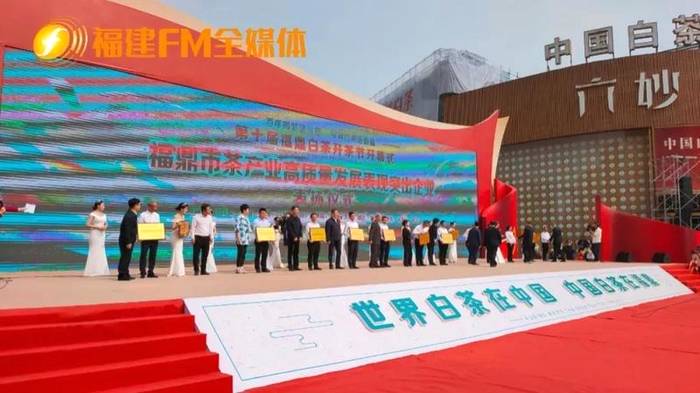 有关于福建FM全媒体记者镜头下的福鼎白茶产业的最新资讯(1)