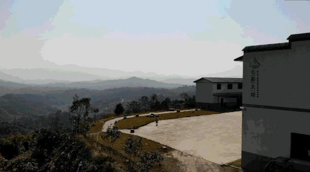 有关于福鼎白茶企业赏析 福鼎七彩太姥生态农业发展有限公司的热门消息(3)