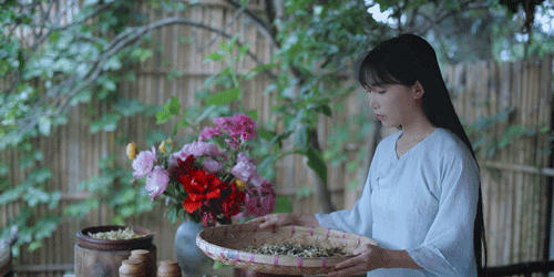 有关于李子柒：深深扎根在中华土地上，历久弥新的茶文化的资讯(9)