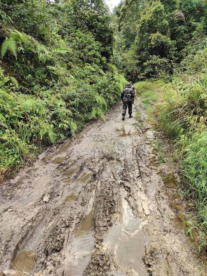 关于追逐暴利终将受罚，毁林种茶必须付出代价—勐海县毁林种茶违法人员的忏悔的最新消息(6)