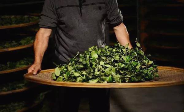 有关于福建省委书记尹力：茶叶是福建的一张名片的热门消息(18)