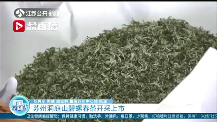 关于一杯明前碧螺春 品味江南好春光 苏州洞庭山碧螺春茶开采上市的新闻(3)