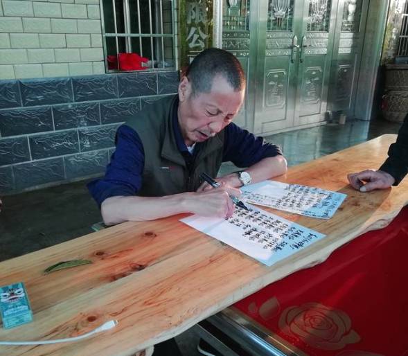 关于新化古茶树：金凤竹林大叶50厘米母树再现的热门资讯(15)