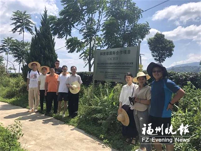 有关于一周速读：茶品牌如何进场抖音自播、“顶流名山”古树趋势如何、2021茶叶进出口数据的热门消息(8)