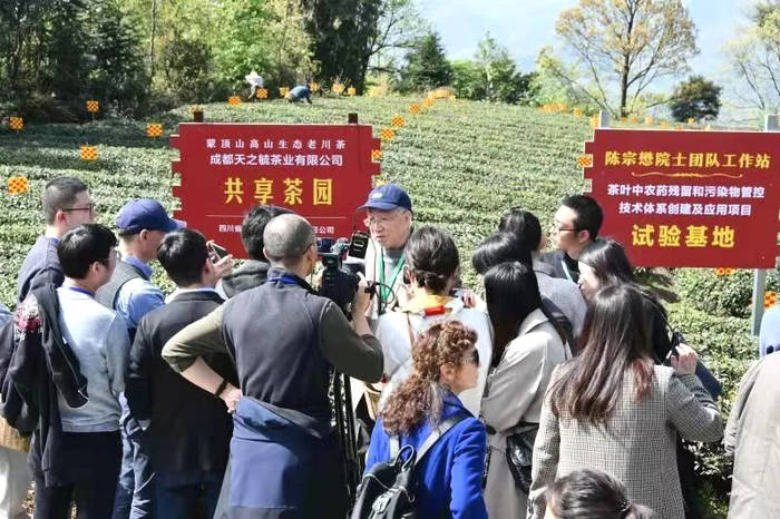 有关于中国茶产业十四五发展规划建议 边销茶增值税免征 中国茶企困于云端的最新资讯(4)