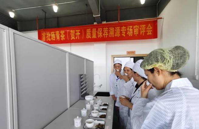 关于茶评检溯源中心走进勐海这个茶园开展服务的最新信息