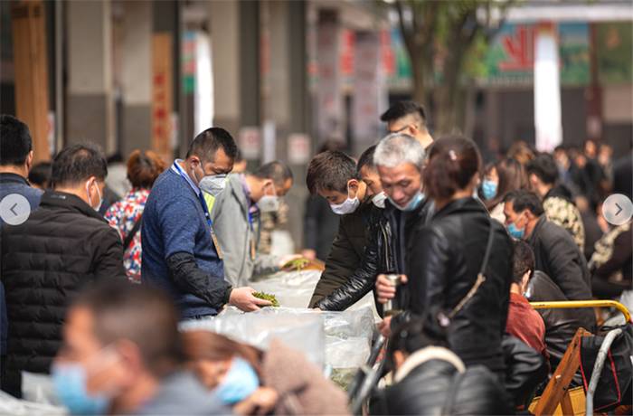 关于年味未散 春茶飘香 浙南茶叶市场交易破1300万元 的热门资讯(1)
