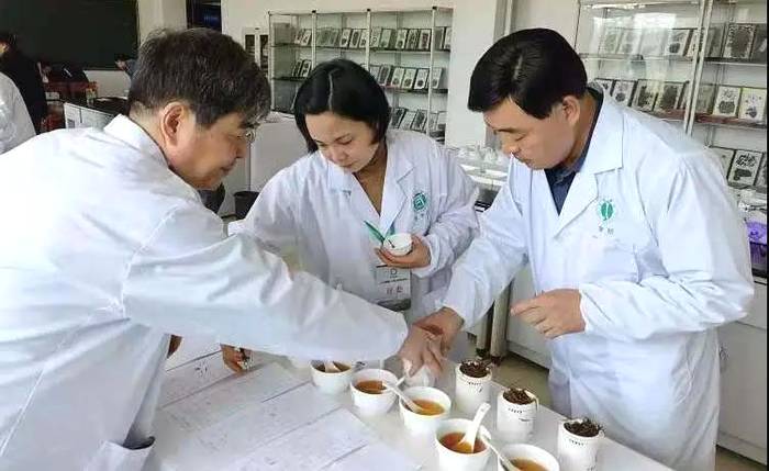 有关于“千屿”牌大佛龙井荣获“华茗杯”“黄山杯”双金奖的新闻