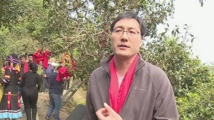 有关于墨江米地古树茶开采 拍卖所得28万元全部捐赠的最新信息(8)