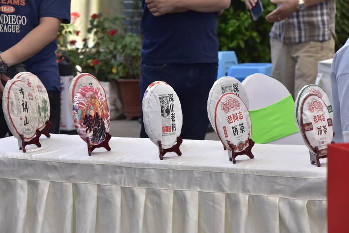 关于“绿色云茶·天下普洱”2021年5·21国际茶日暨云南“10大名茶”产品首发活动精彩启幕的新闻(15)