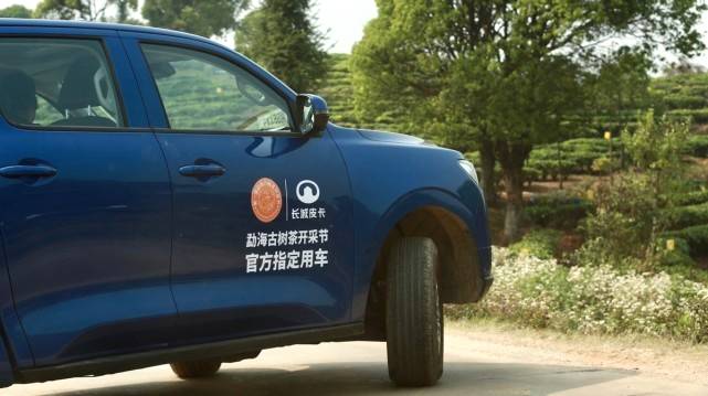 有关于当古茶之王遇上皮卡之王，长城皮卡助力勐海古树茶开采的信息(2)