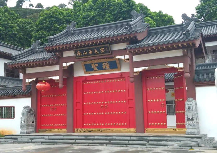 关于横县那阳镇政华村茶叶种植合作春茶采摘时!的最新信息(4)