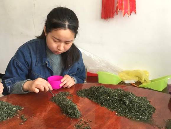 有关于信阳平桥太平山 茶叶总产值达到3.6亿元的热门信息(3)