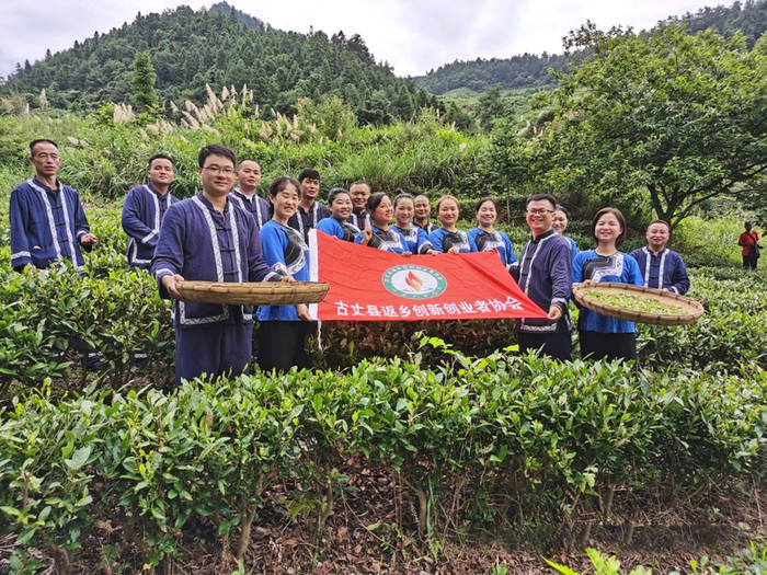 有关于老茶王传统仪式收徒——茶乡古丈非遗传承助力乡村文化振兴的最新资讯(6)