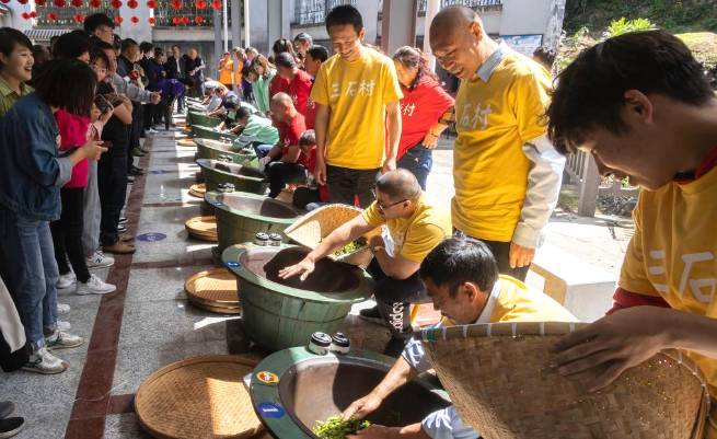 有关于浙江景宁：“以茶强村、以茶富民”带动村集体经济发展的资讯(3)