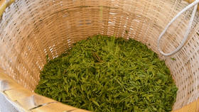 有关于深耕匠心做好茶 “华茗杯”多款江西茶榜上有名！的热门新闻(1)