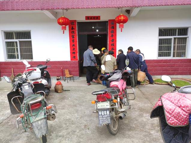 关于霍山区霍山黄芽开始大量上市 茶农卖茶终于出现人挤人的场面的消息