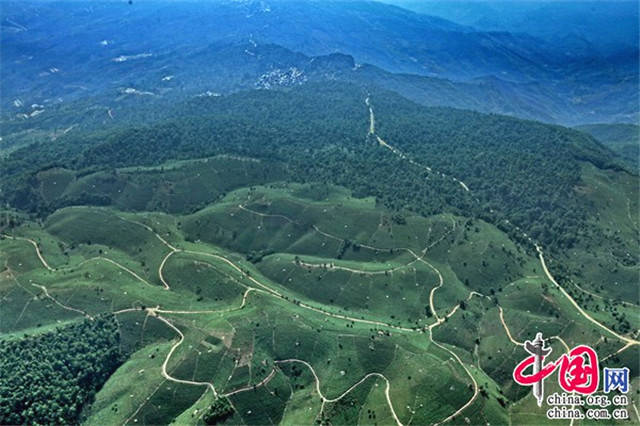 有关于云南景迈山古茶林文化景观申遗进入冲刺阶段的热门新闻(3)