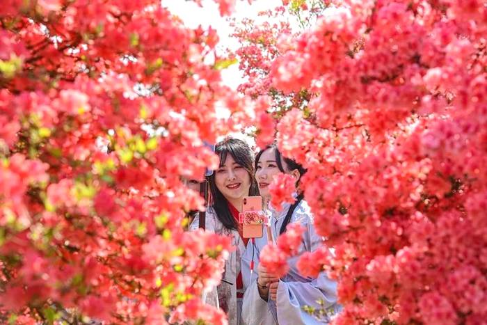 有关于中国有机茶之乡武义，一片茶叶拉动全产业链的热门新闻(4)