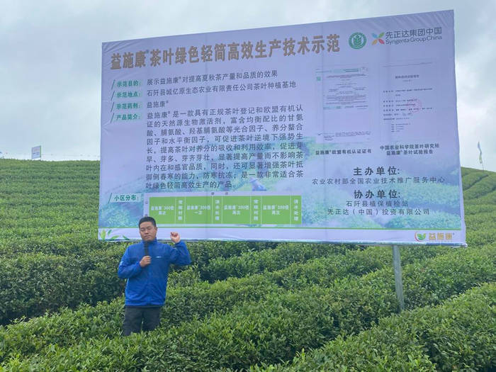 有关于全国植保专家走进石阡 茶叶病虫害绿色防控技术引热议的热门信息