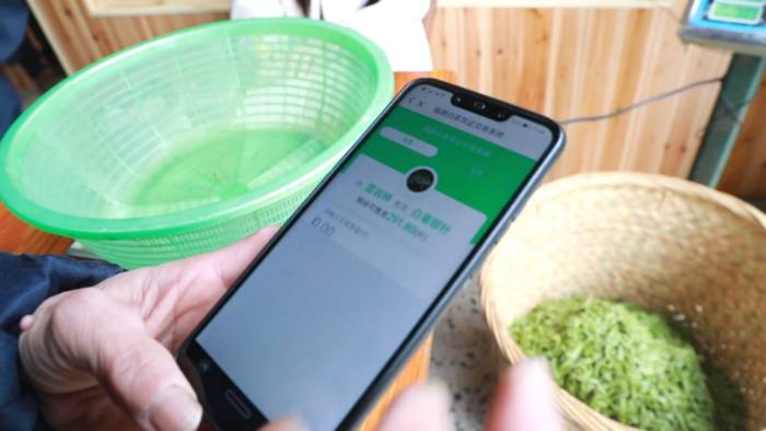 关于工业现代化带动农业智能化,福鼎茶产业集群呈规模化发展的热门资讯(3)