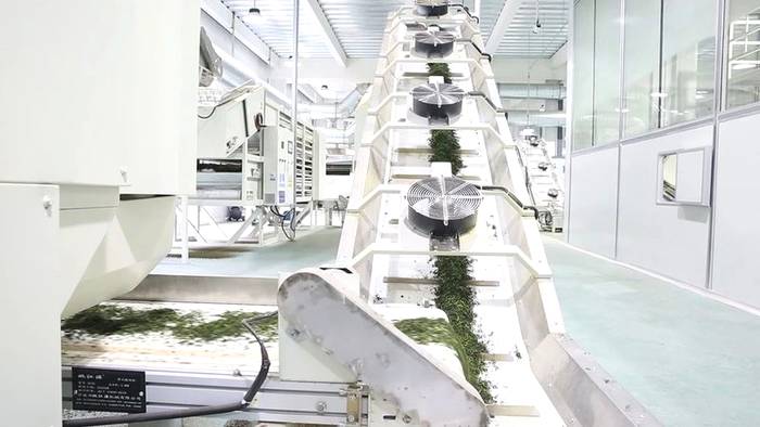 关于浙江省第一条数字化名优茶加工生产线投产 迈入“看数字制茶”时代的热门新闻(3)