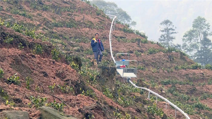 有关于宜宾这片茶园长出了一条“轻轨”！载重可达450公斤！的新闻(5)