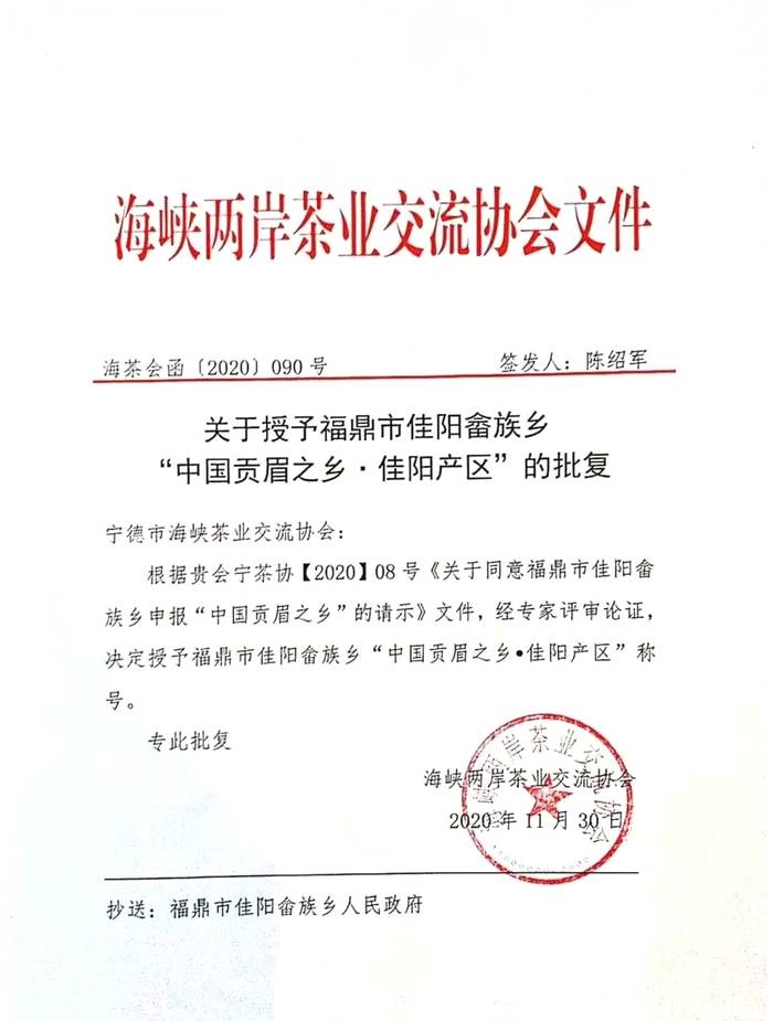 关于一样的路，不一样的风景——回首2020的福鼎白茶的信息(26)