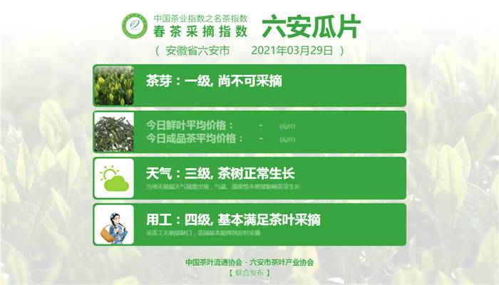关于【春茶采摘指数】西湖龙井、大佛龙井四级，信阳毛尖三级的最新信息(8)