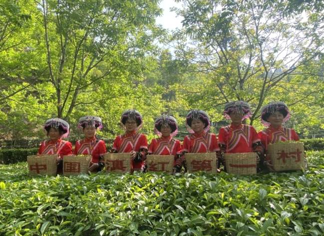 关于凤庆县举行2021“天下茶尊”开茶大典 全县35.6万亩茶园同步开采的热门信息(4)