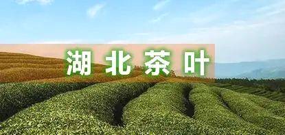 有关于一周茶事 | 湖北首次为茶产业立法；冰岛老寨举寨搬迁的热门资讯