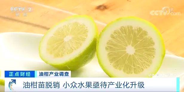 有关于一杯茶，带火了这种小众水果！身价飙涨10倍，价格一天三变？的热门新闻(11)