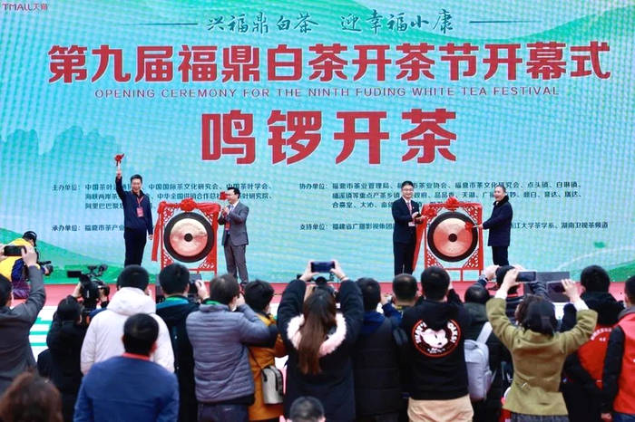 关于第十届福鼎白茶开茶节将于3月28日举办的热门新闻(9)