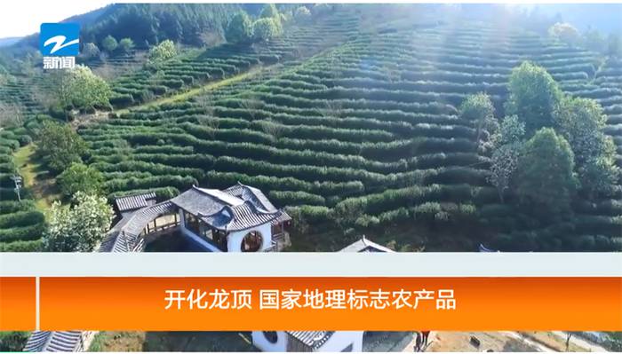 有关于开化龙顶茶：水中跳芭蕾，国家地理标志农产品的热门信息