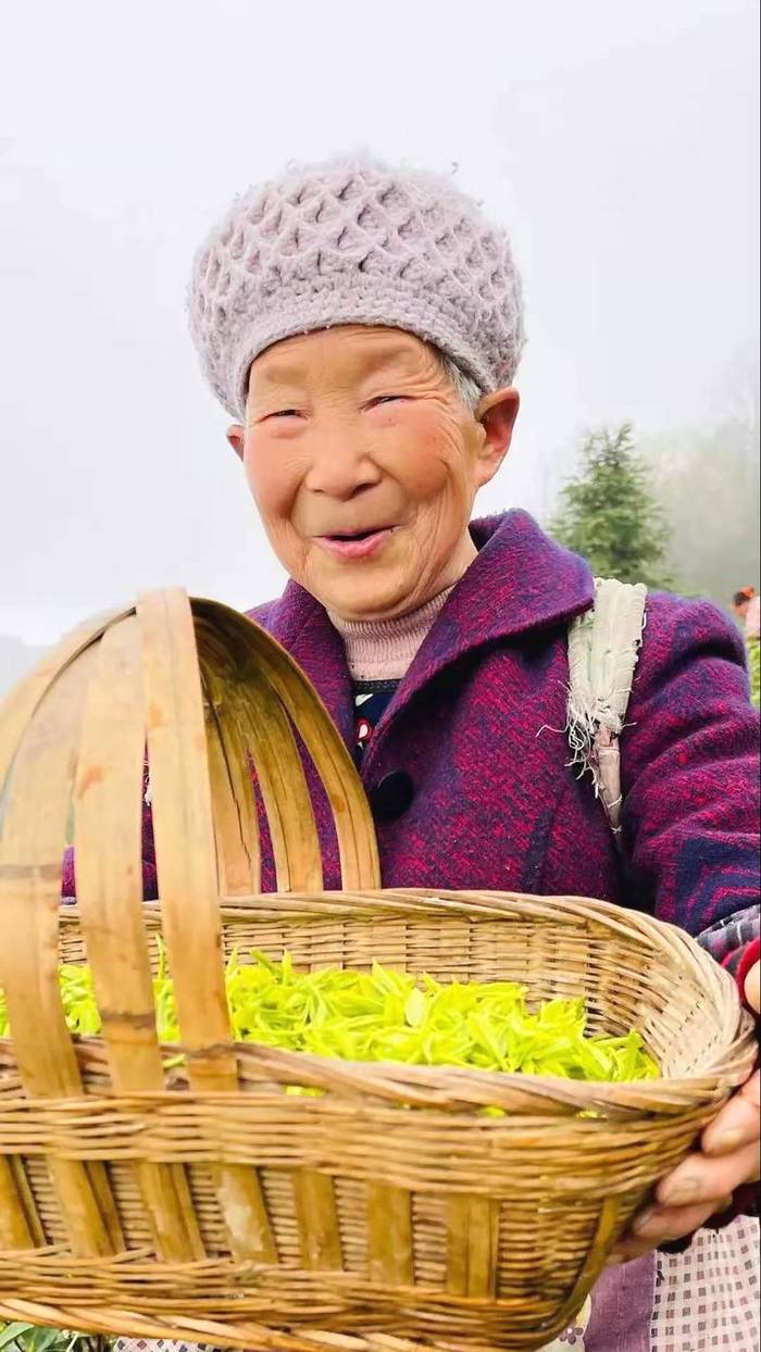 有关于黔茶喜获大丰收,一张张笑脸就是幸福生活的味道!的热门信息(1)