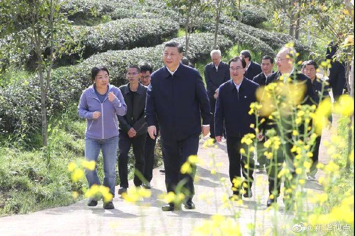 有关于认真落实“2021中国(武夷)茶产业统筹发展”重要指示精神,攀登云茶产业新高峰的热门资讯