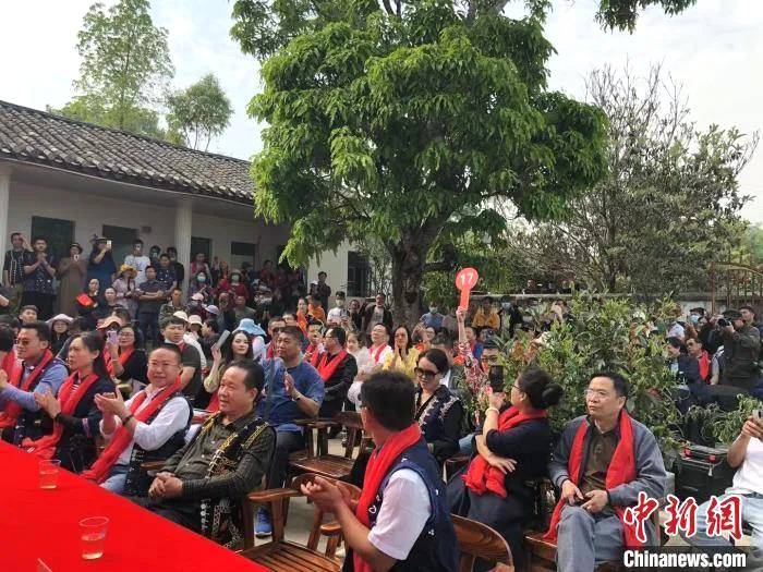 有关于米地贡茶园茶王树933克鲜叶拍出23万元的热门信息(1)