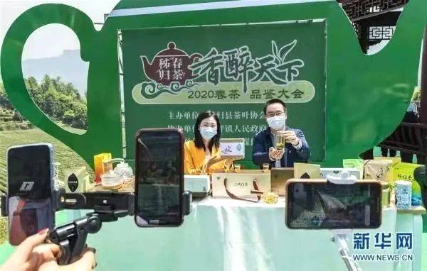 有关于【盘点2020】快看！这些茶区发生了哪些大事？②的热门资讯(1)