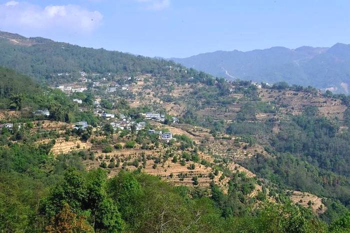 有关于茶行业|劲爆头条:1068万元就干了这么一件事!!!的热门信息(2)