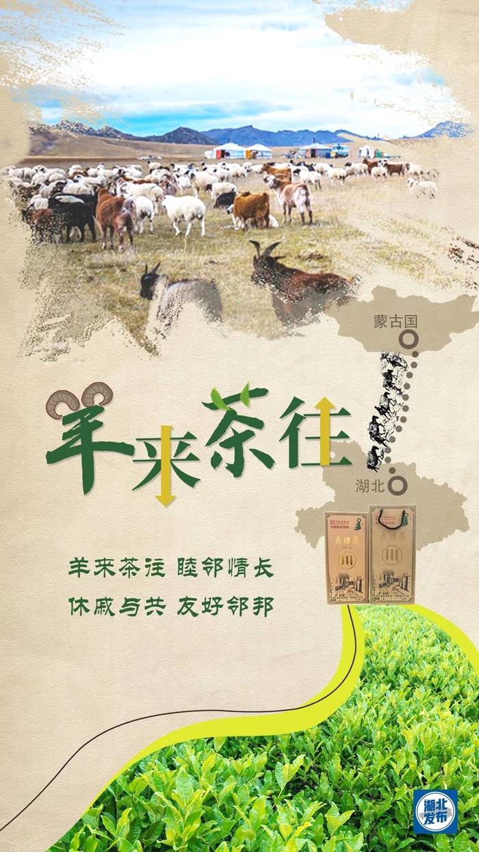 有关于羊来茶往!习近平总书记谈起了这段关于湖北的佳话的最新消息(2)
