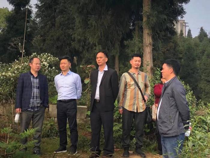 关于2021重庆大足首届“古龙茶文化节”暨乡村旅游民俗展演展销活动纪实的新闻(20)