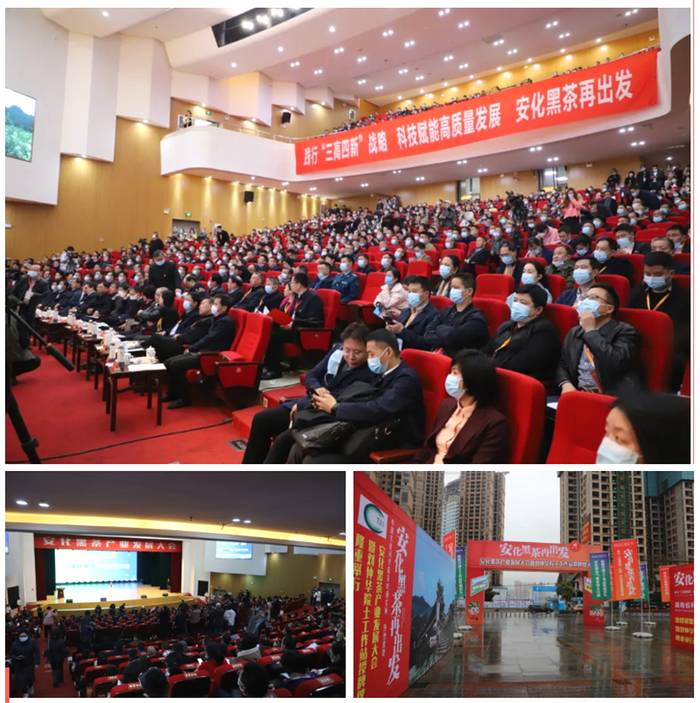 有关于新起点·再出发 看各大媒体如何解读安化黑茶产业发展大会的资讯