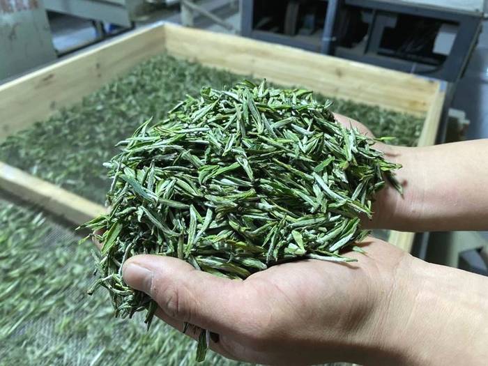 关于雅安：来！茶海冲浪 杯中有你 追逐春天的丝滑的最新消息(4)