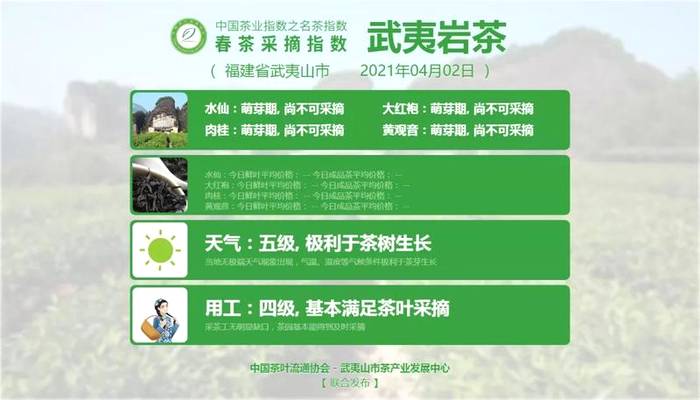 有关于六安瓜片开采啦，附其它知名茶叶的采摘指数的新闻(10)