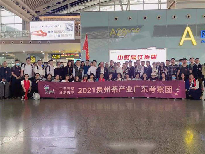 关于广东茶商再次“包”高铁赴黔参加贵州茶产业博览会的热门消息