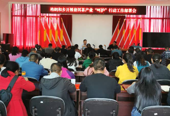 关于“呵护”普洱茶产业健康发展系列报道（二）的热门资讯(4)